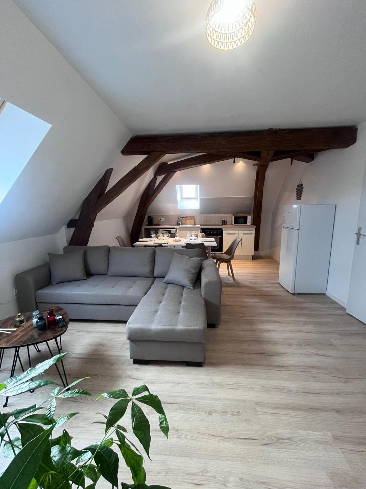 L'Evasion Urbaine - Parking Gratuit - Entree Autonome - Wifi Apartman Châtellerault Kültér fotó